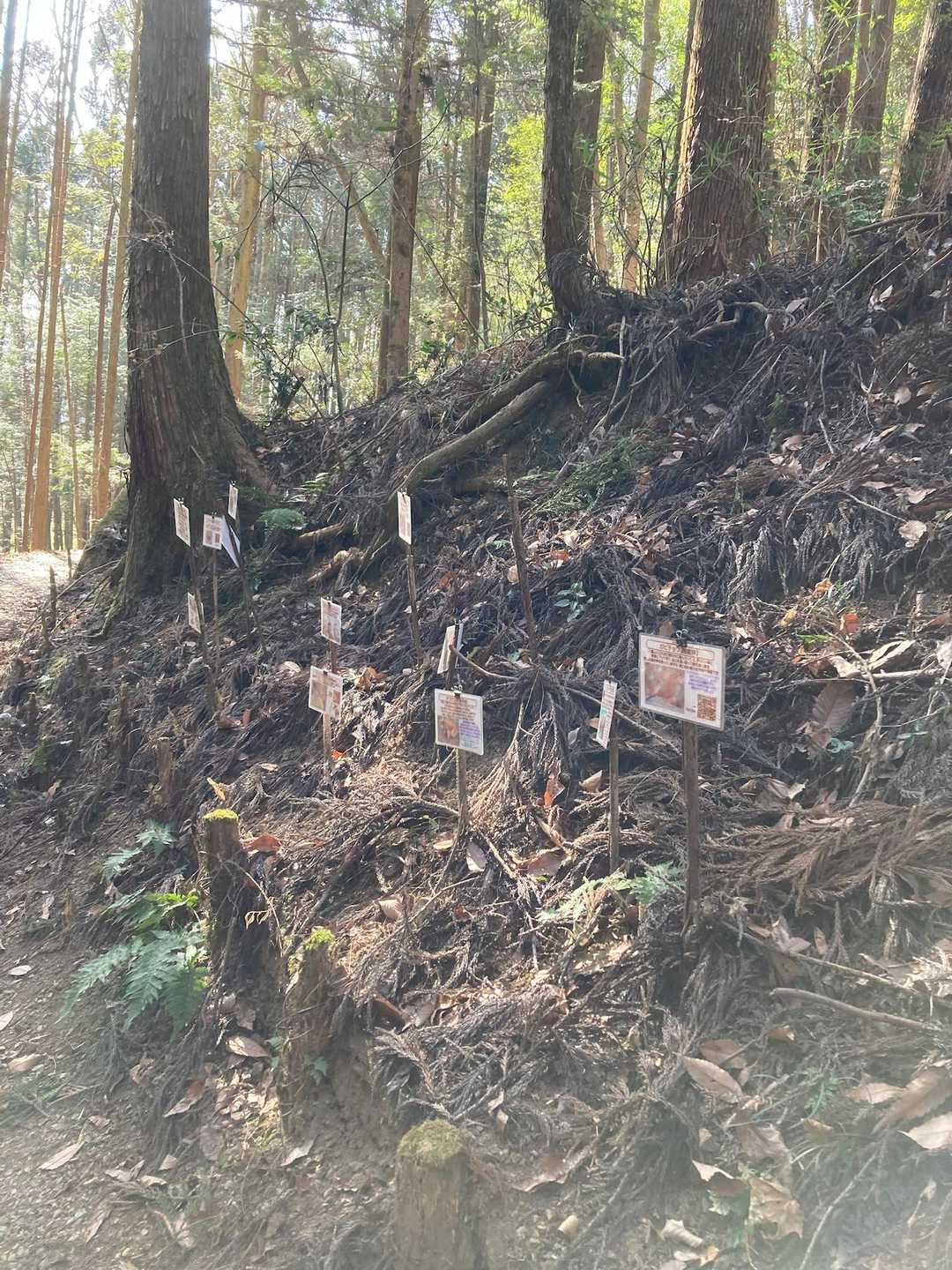 ここで生活する動植物が書かれていました