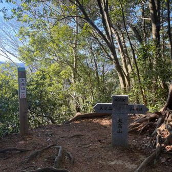 大高山です。ここから先は登山者は減って、ほぼ一人でした