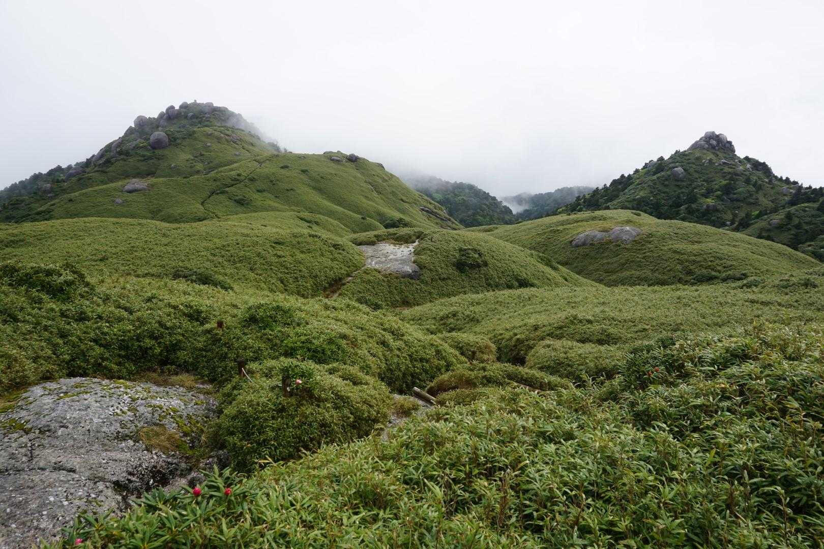 笹原