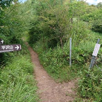体力残っていたので平沢山にも行ってみます。ここを右に行くようです。