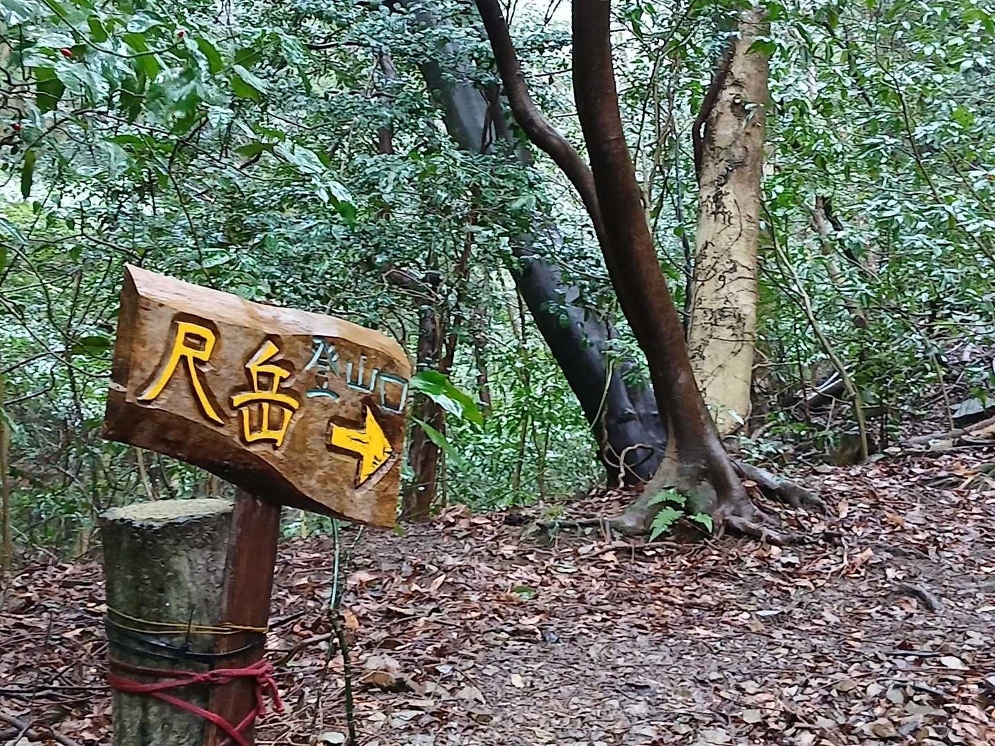 😍良き標識