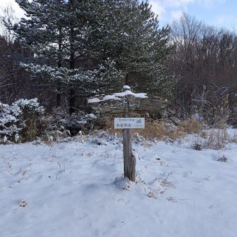 小室井山到着です。