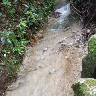 水越川の水が透明過ぎて、砂を写しているように見える😅