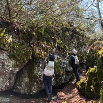 おっきいねー！かつては修験道。