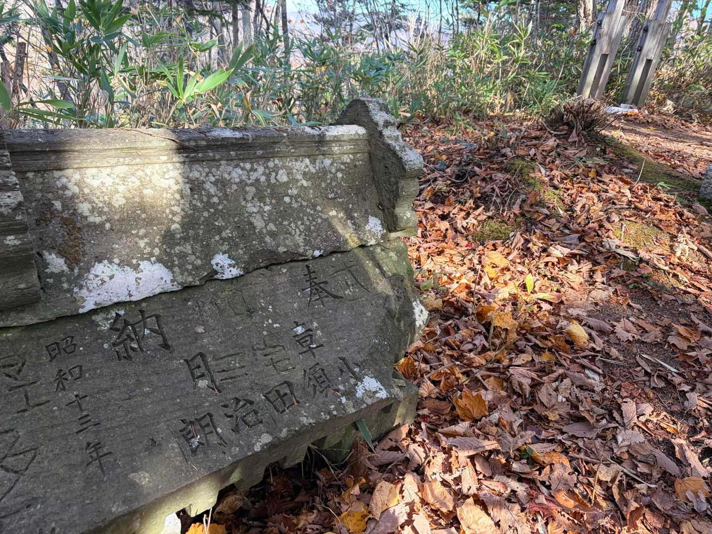 気持ちよく歩いて、1時間くらいで山頂到着です🙌