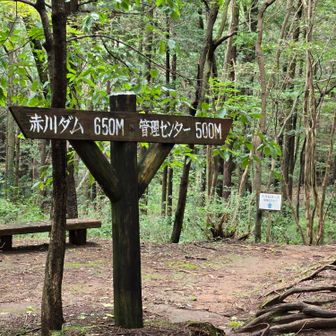 ここから赤川ダム湖畔までトリムコースを行きます