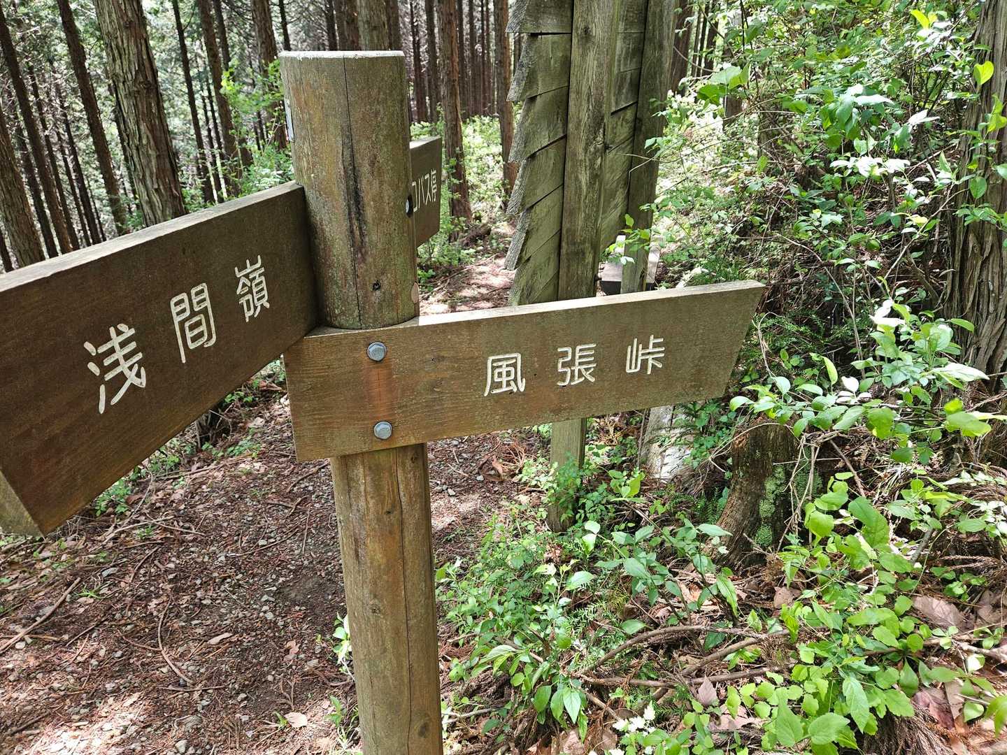 仲の平バス停-御林山-数馬峠-内台山-人里峠-浅間嶺-天領 縦走コースの写真
