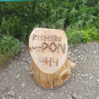 ポン山。登頂。