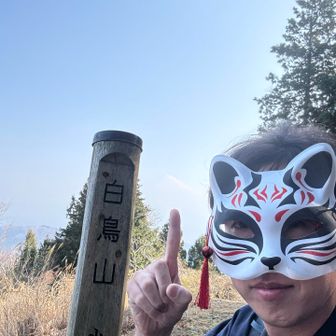 富士山コレです