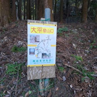 大平登山口に降りてきました！
お疲れさま