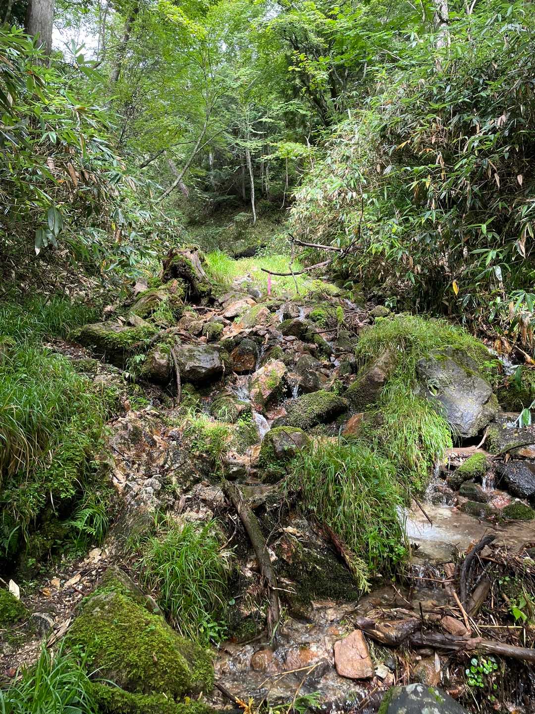 少し荒れてますがピンテもあります。見失わずに。