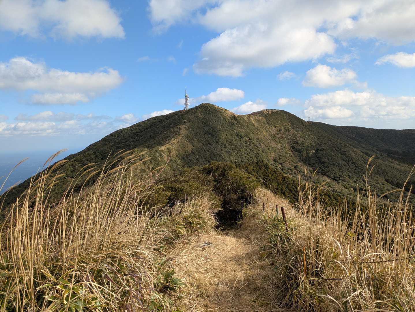 やっと登山道らしくなってきました