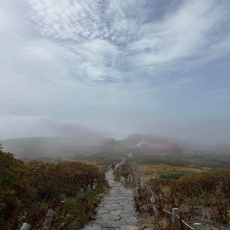 下山の時は真っ白！