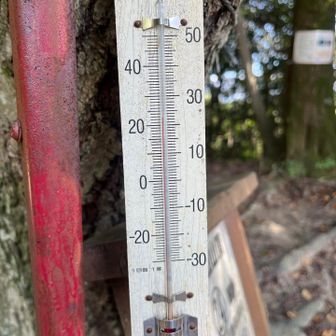 物見山山頂の気温は23℃。