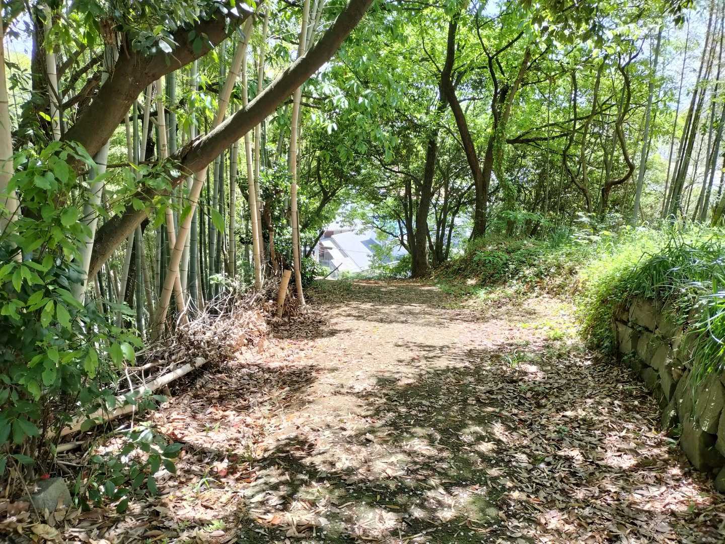 帰ったよ
中央真下が登山口