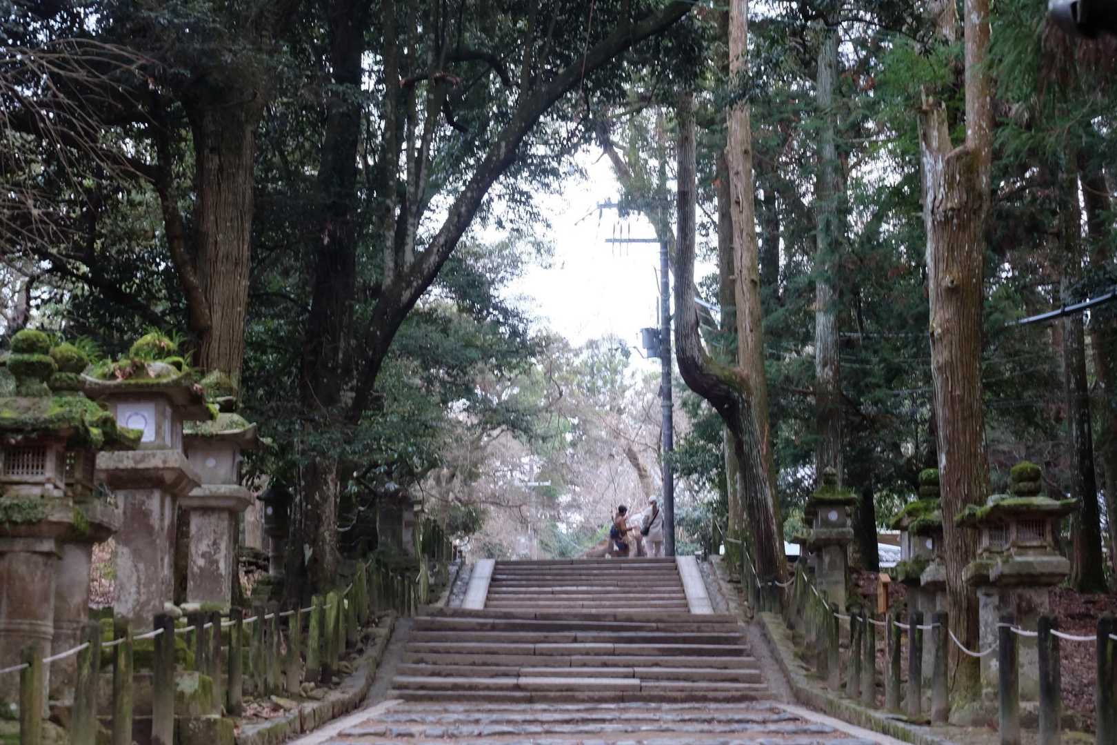 若草山麓バス停-春日大社 周回コースの写真