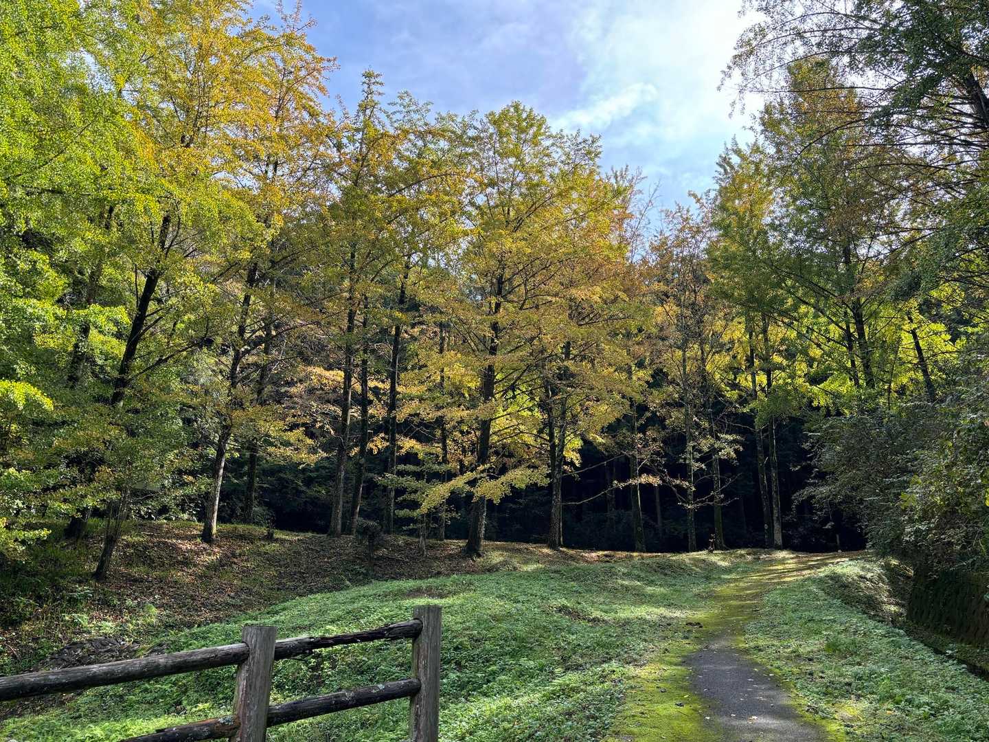 少し紅葉してる？かな。