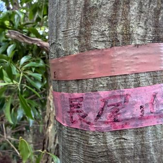 長尾山