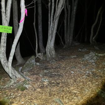 というか、通過
山頂感ゼロ