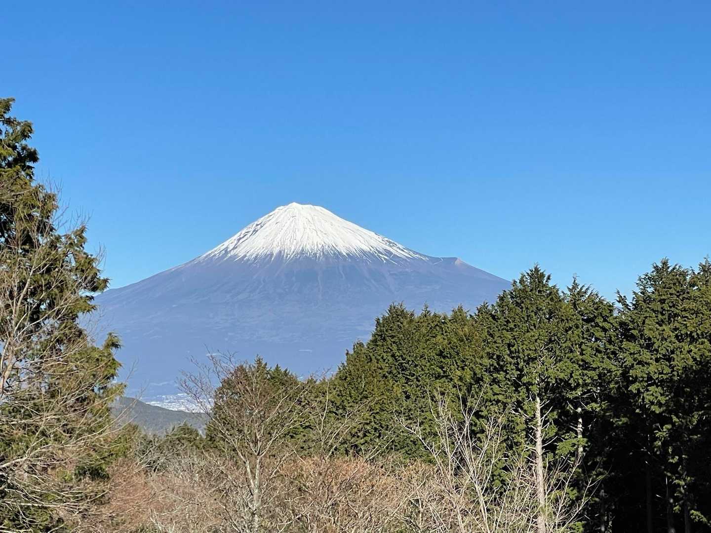 浜石岳 周回コースの写真