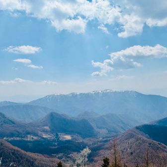 最初は樹林帯ひたすら登り🥾
でも広めの道が多いから比較的歩きやすいよ‼︎
登って開けると南アルプスが見える⛰️✨