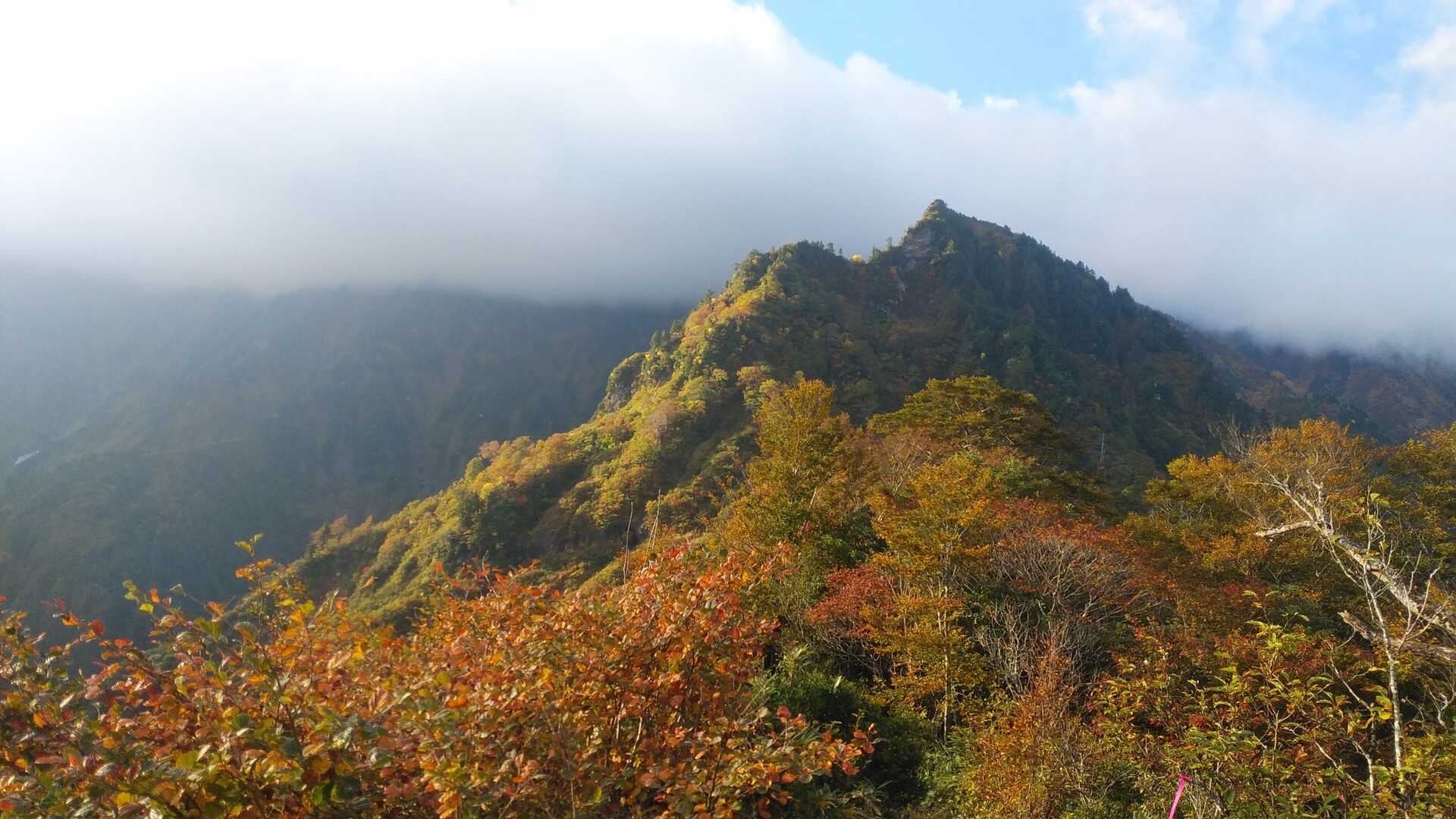 荒沢岳の写真