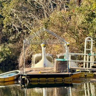 春まで待機中⁇🦢