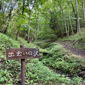 出会いの沢通過