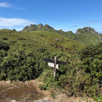 焼野三叉路に戻ってきた。