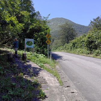 駐車場から直ぐに泥炭地への道があります。