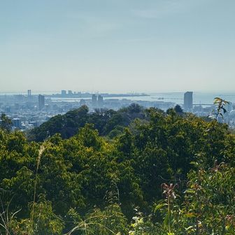 見晴らし展望台から。今日も生駒山は見えない