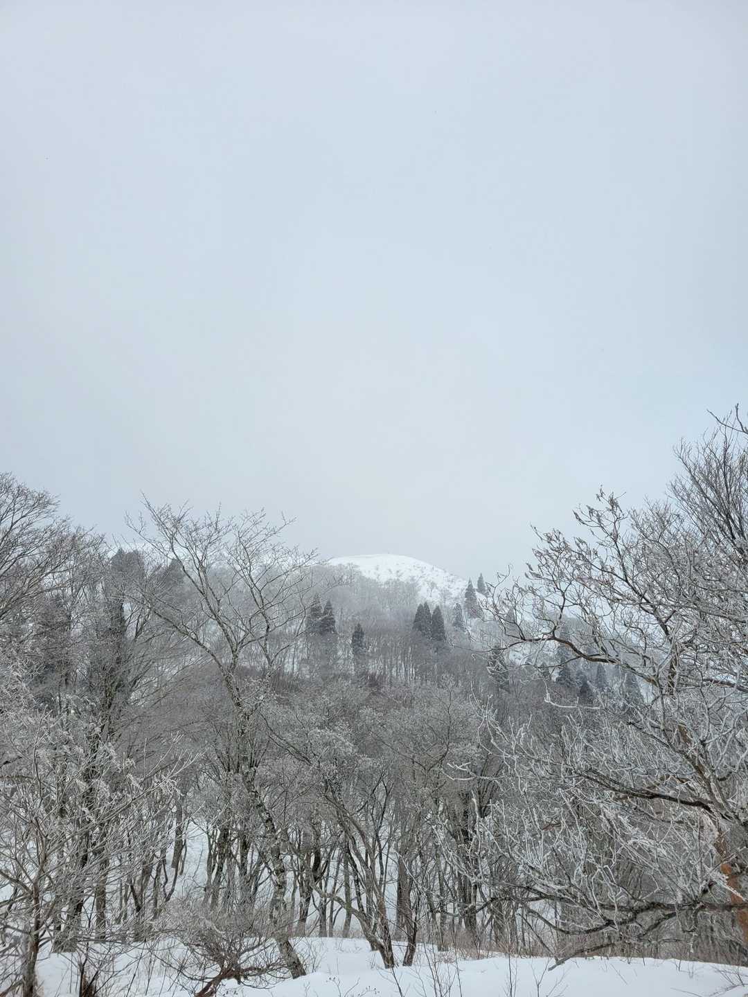 武奈ケ岳