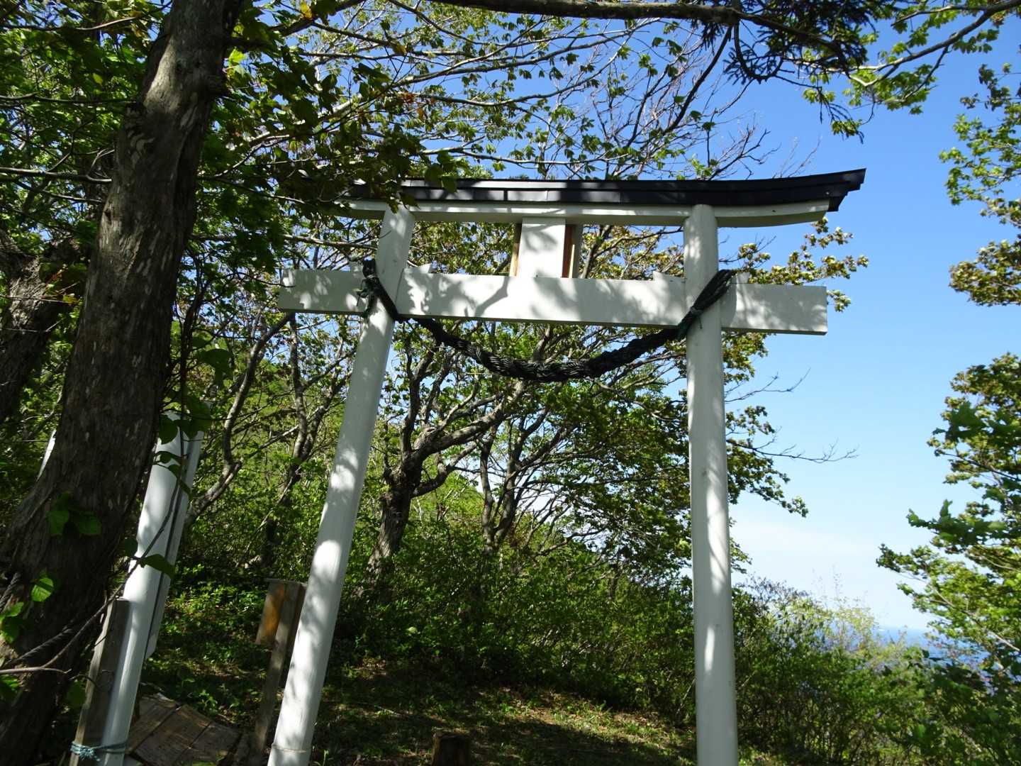 登り返しは下りよりは急には感じなかった🙄
やはり坂は上から見た方が急に感じるってことなのかな？