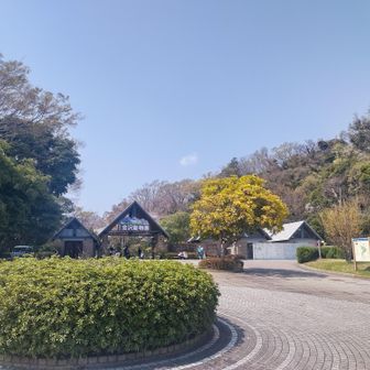 この辺は車で来れちゃいます。