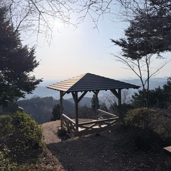 金比羅公園
綺麗に整備されており気持ちよし👍