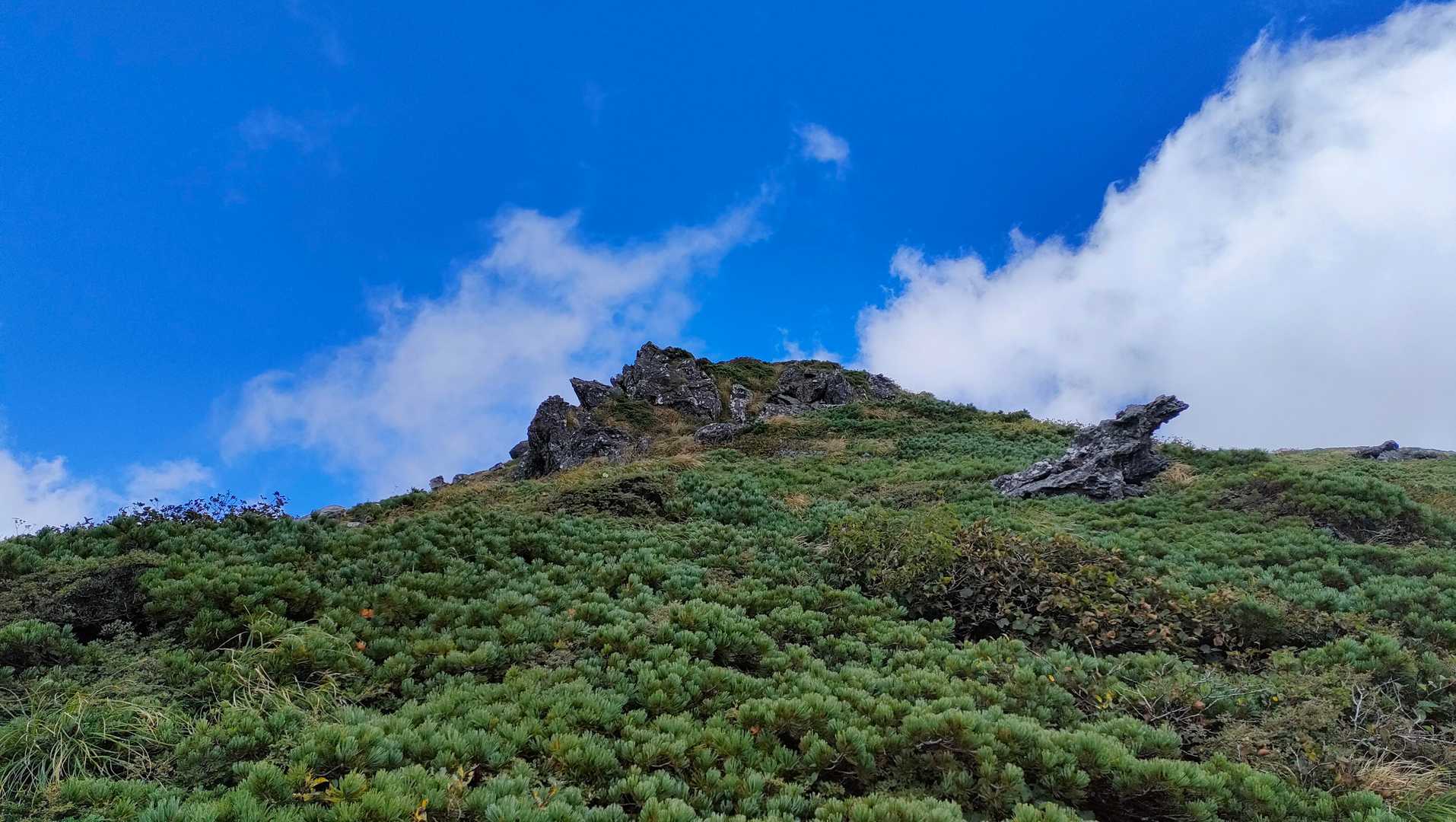 御神坂登山口-切接-わらじ脱ぎ場-笠締-岩手山 往復コースの写真