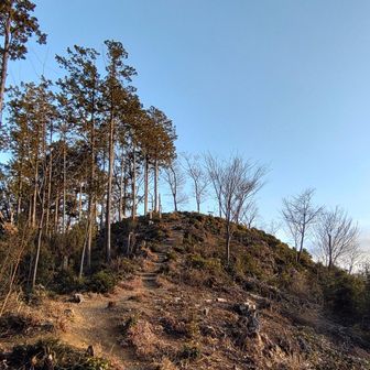 サラバ山頂。ありがとうございました