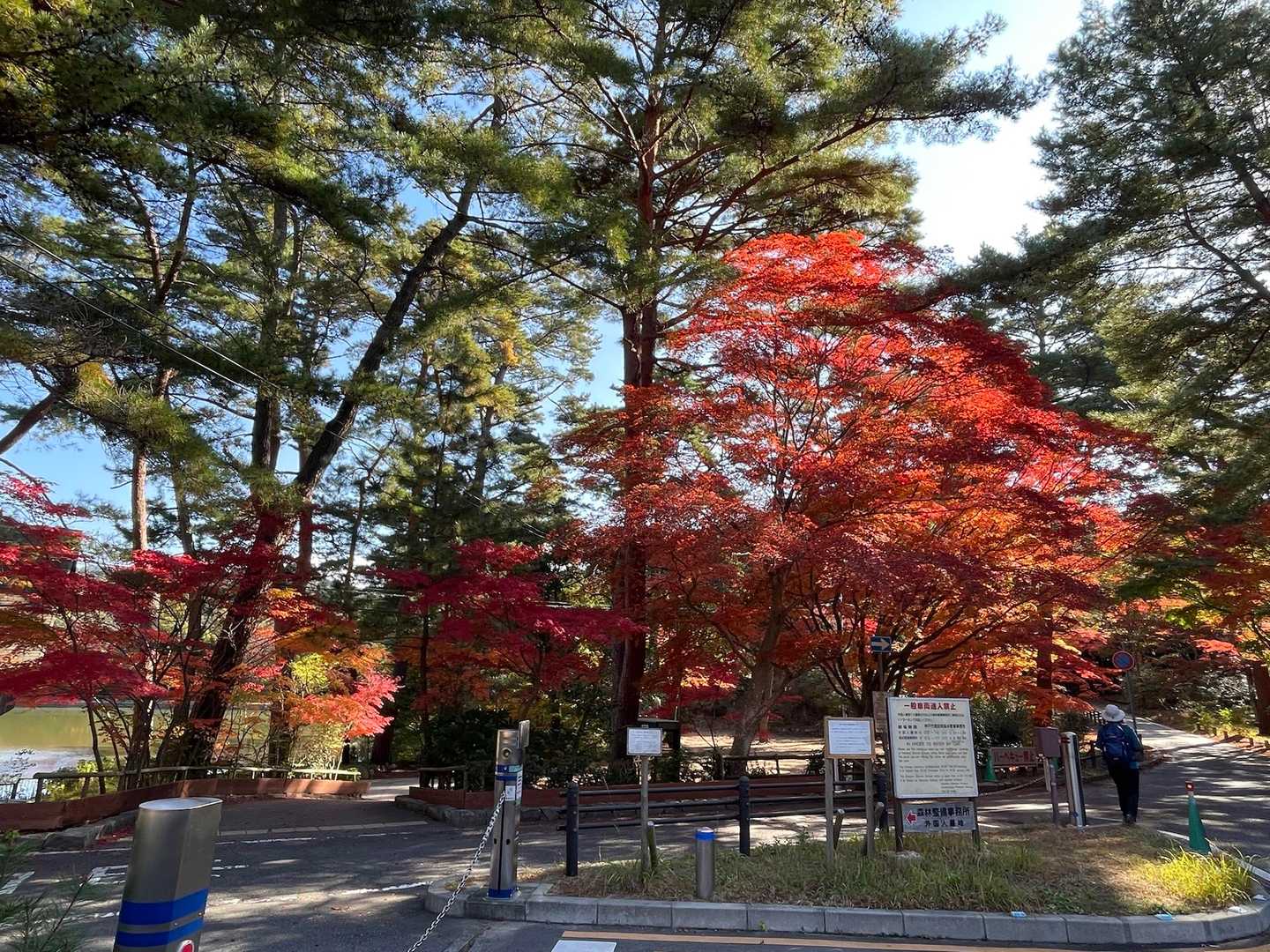 鍋蓋山-再度越-再度山 周回コースの写真