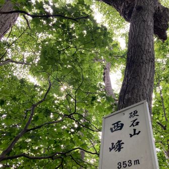 砥石山
西峰　
標高　353m