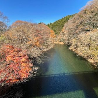 ゴールイン

ダム湖に映る橋の影がいい感じだな〜
と思ってパシャリ📸

次の山へ！
