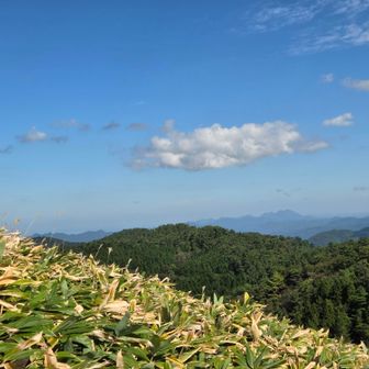 三瓶山と大江高山
たぶん..(笑)