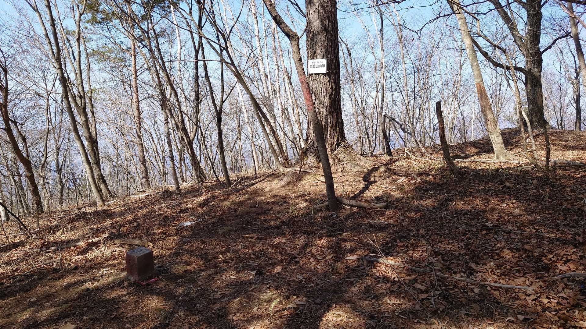 ここまでのルートが不明瞭な「見越山」の山頂です。
しかし、三等三角点が有ります。