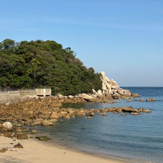 玄界灘の海水はきれい！