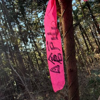 本当の倉戸山
うむ…ニセでいいな