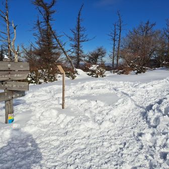 さんちょついた❗