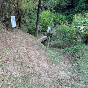 今回も鎖場多めの左へ
上り専用です