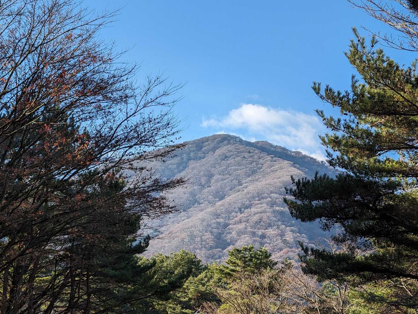 本栖湖キャンプ場-竜ヶ岳 周回コースの写真