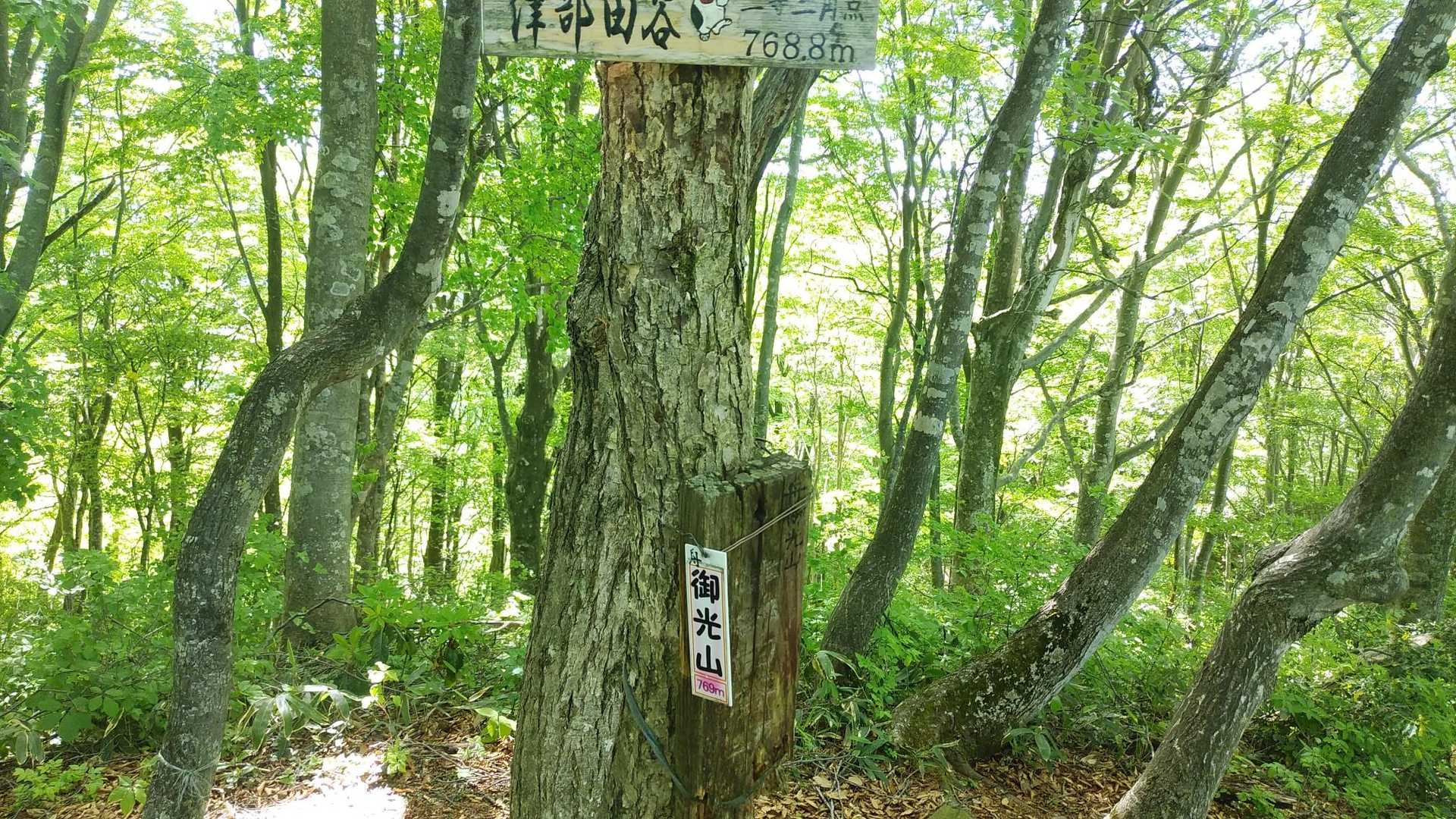 船御光山　山頂