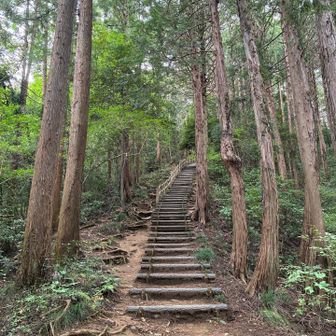 百階段