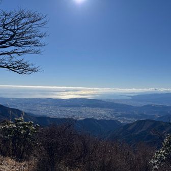 相模湾がよく見える🐟